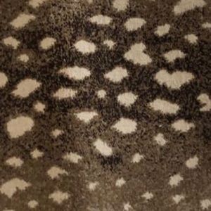 Meet your Posher, Tricia